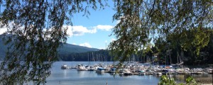 deepcove